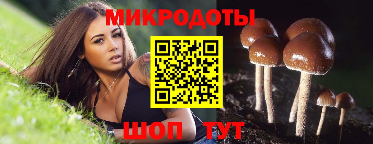 Псилоцибиновые грибы мухоморы Канаш