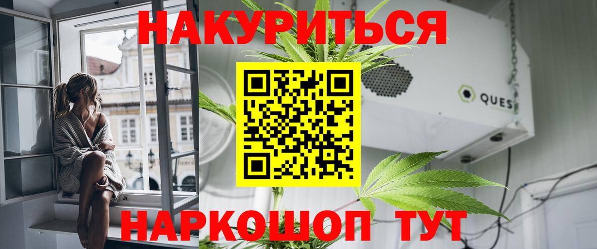 Марихуана сатива  Марихуана OG Kush  Канаш  Вход с VPN  Каннабис гибрид 